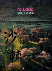 沙棘原浆十大功效