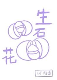 生石花花盆