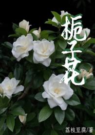 栀子花 (父女1v1) 作者 荔枝豆腐心