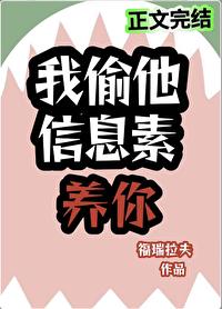 信息素偷盗指南讲的什么