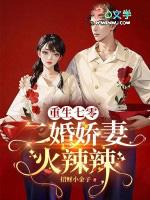 七零年代二婚妻重生