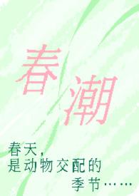 春潮(现言1v1h)作者现言全文免费阅读