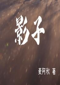 影子战术将军之刃登陆ns
