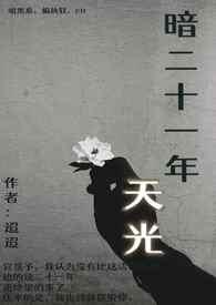暗二十一年天光TXT