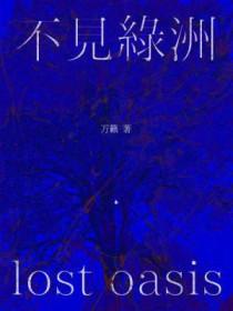 不见绿洲讲的什么