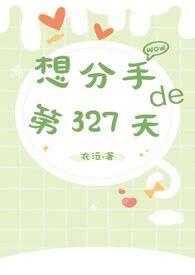 想分手的第327天 作者衣沄
