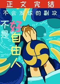 排球少年主攻手排行