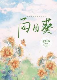 向日葵跌3.39%