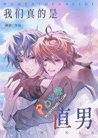 你是直男是什么意思