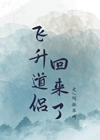 飞升多年的道侣回来了by