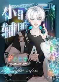 小辅助装是什么