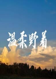 温柔阿野歌词