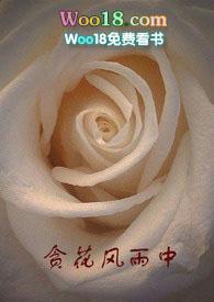 贪花风雨中txt