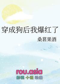 穿成狗血文成为万人迷免费阅读