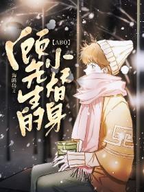 顾先生的小可怜