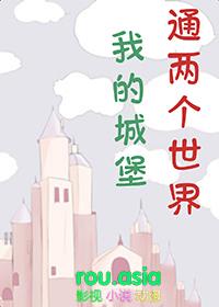 我的世界30×30城堡