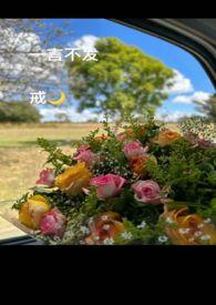 成年的世界心里兵荒马乱嘴里一言不发
