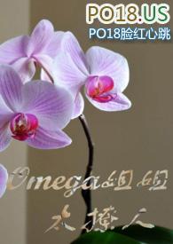 类似omega姐姐太撩人的