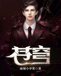 苍穹之昴是什么意思?
