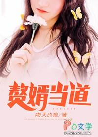 赘婿当道免费阅读全文