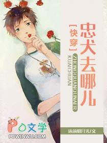 有什么忠犬文推荐吗