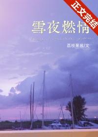 雪夜燃情免费阅读无删减