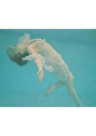 人非草木孰能无情全诗