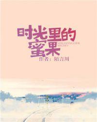 时光里的蜜果讲的什么