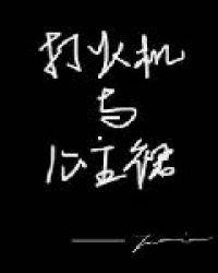 打火机与公主裙百科