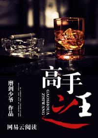 高手之王免费阅读全文