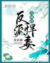 首辅反派悍妻免费阅读