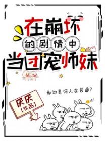 关于在崩坏世界的二三事