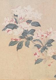 撷春色强取豪夺齐澜最新章节更新时