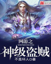 网游之神偷小盗