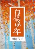 白杨少年讲的是什么故事