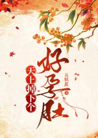 天上掉下个好孕肚(慢穿) 作者五妖花