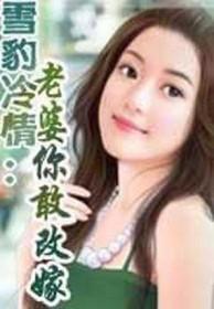 雪豹cs
