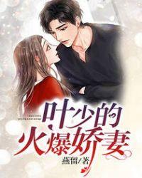 叶少宠妻如命全文免费阅读
