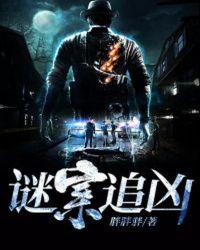 谜案追凶第三季在线观看