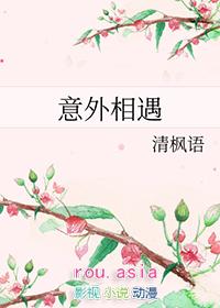 意外相遇22章