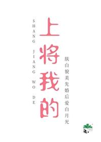 上将的珍宝全文阅读