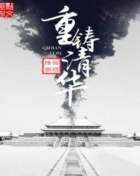 重铸清华txt精校版