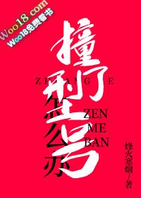 撞了型号怎么办无删减txt