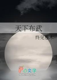 天下布武录百度百科