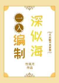 一入编制深似海免费阅读