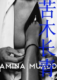 苦木长青po三毛多一毛