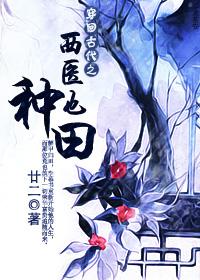 穿回古代之西医也种田作者廿二