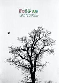 失落的英雄灵魂