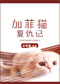 加菲猫复仇记by金刚圈讲的什么