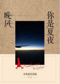 你像夏夜的晚风